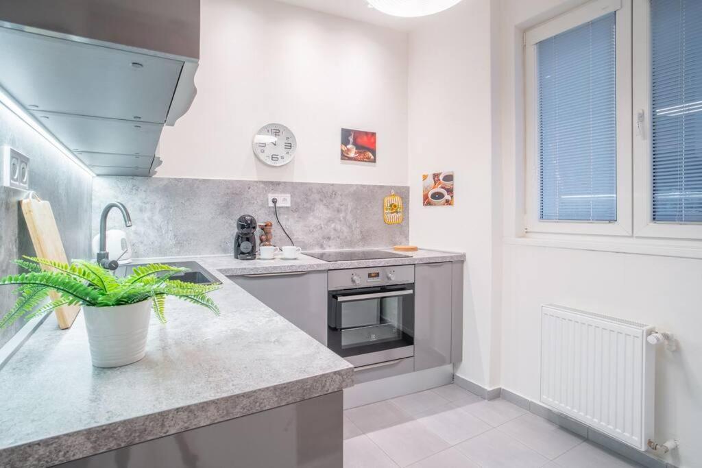 Sukromny Staromestsky Apartman V Uzasnej Lokalite/Cozy Old-Town Apartment In A Great Neighborhood Bratislava Exterior foto